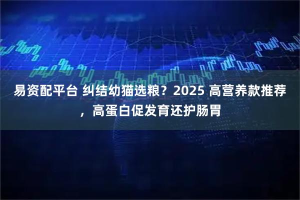 易资配平台 纠结幼猫选粮？2025 高营养款推荐，高蛋白促发育还护肠胃