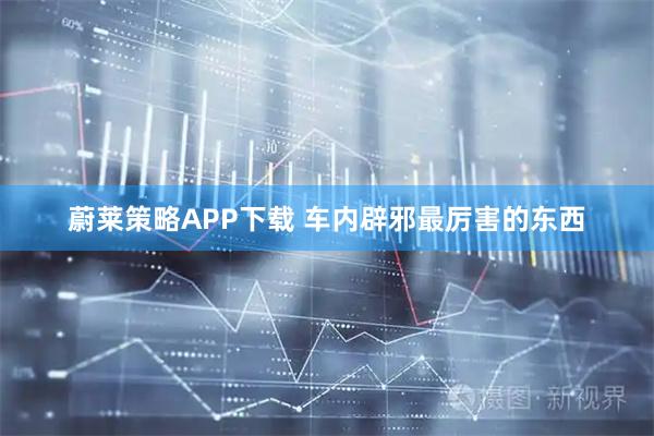 蔚莱策略APP下载 车内辟邪最厉害的东西